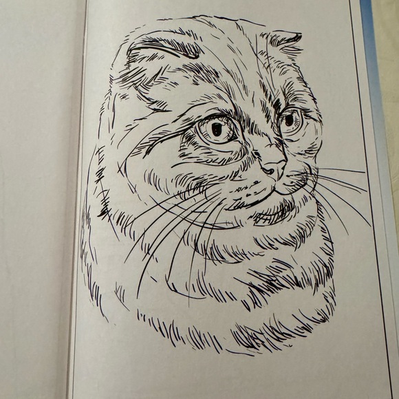 Taylor Swift Magazine Bundle - Picture 7 of 8